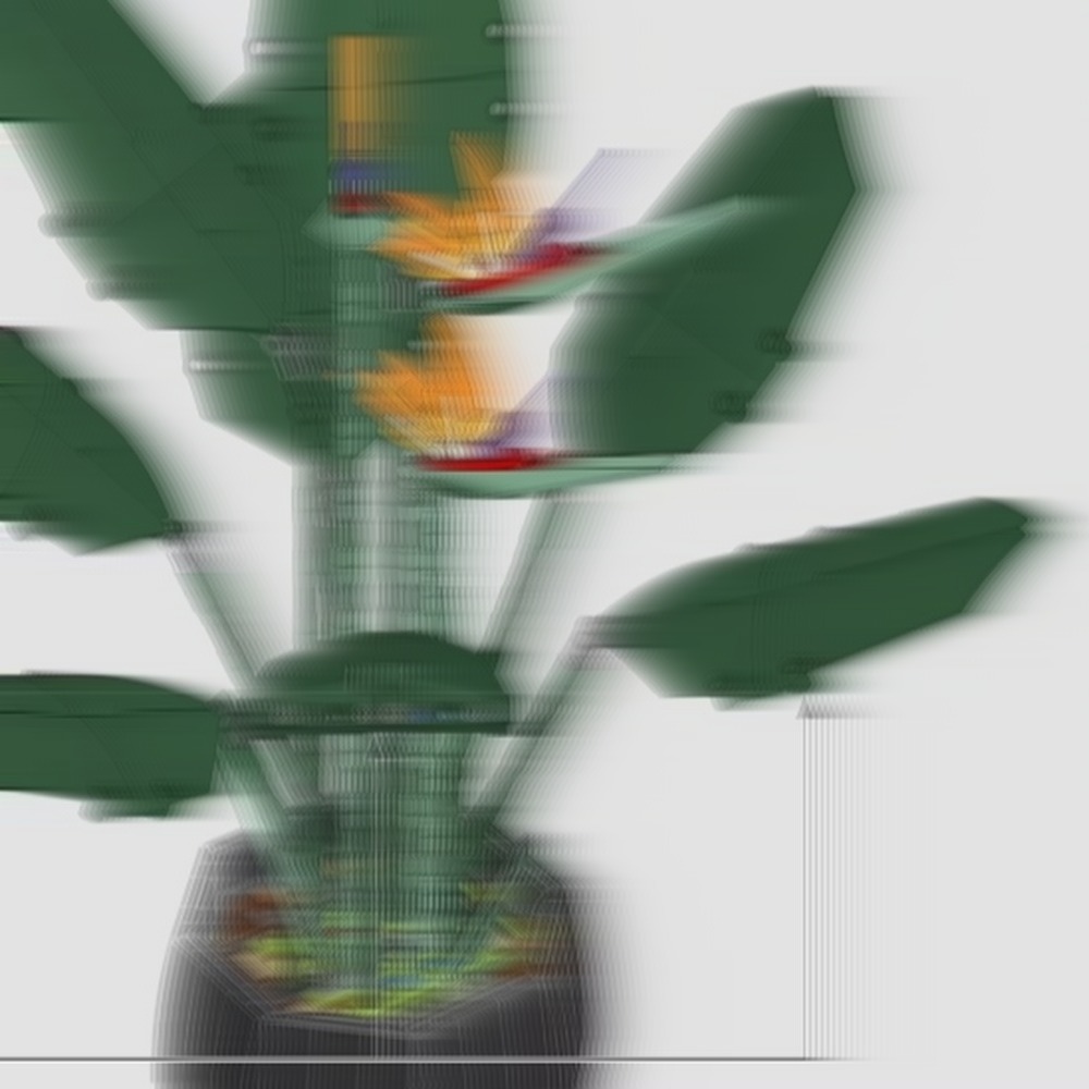 The Plant Parent - Piękny zestaw do aranżacji bukietu z