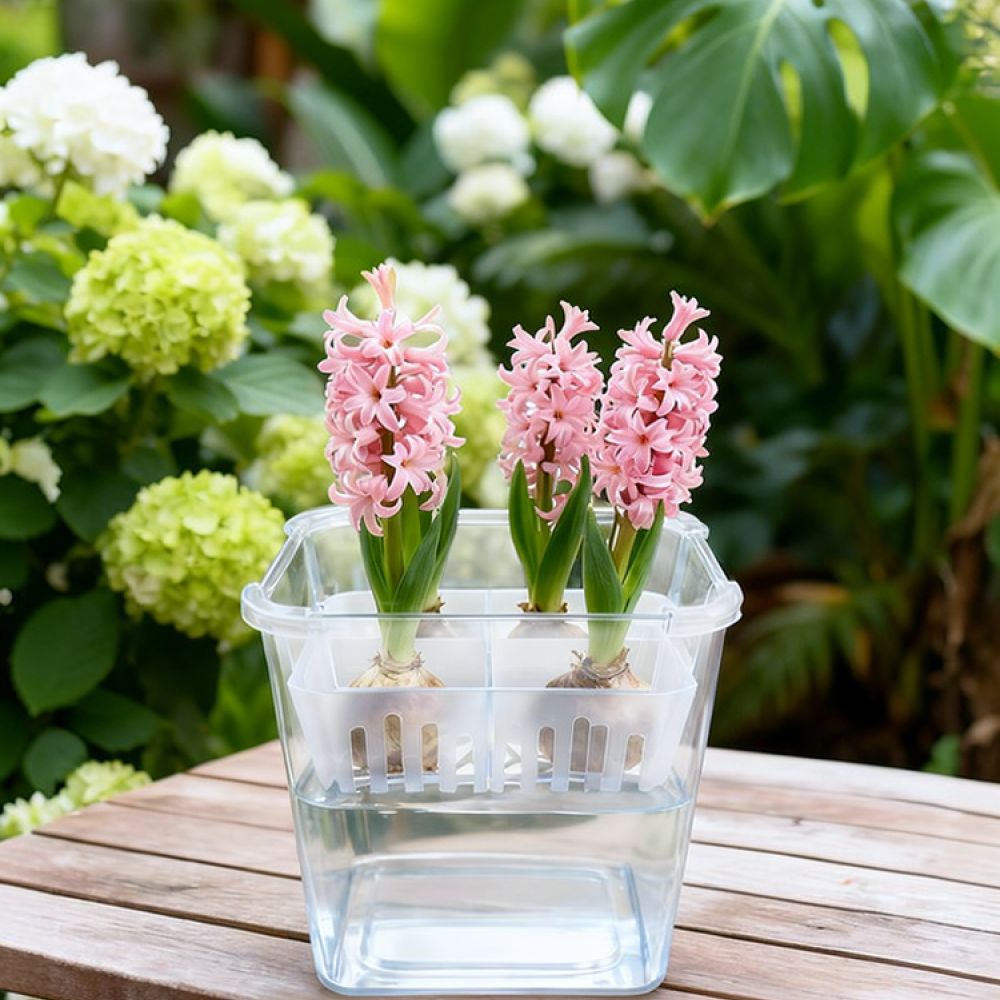 Indoor Plants - Wazon do uprawy tulipanów i lilii