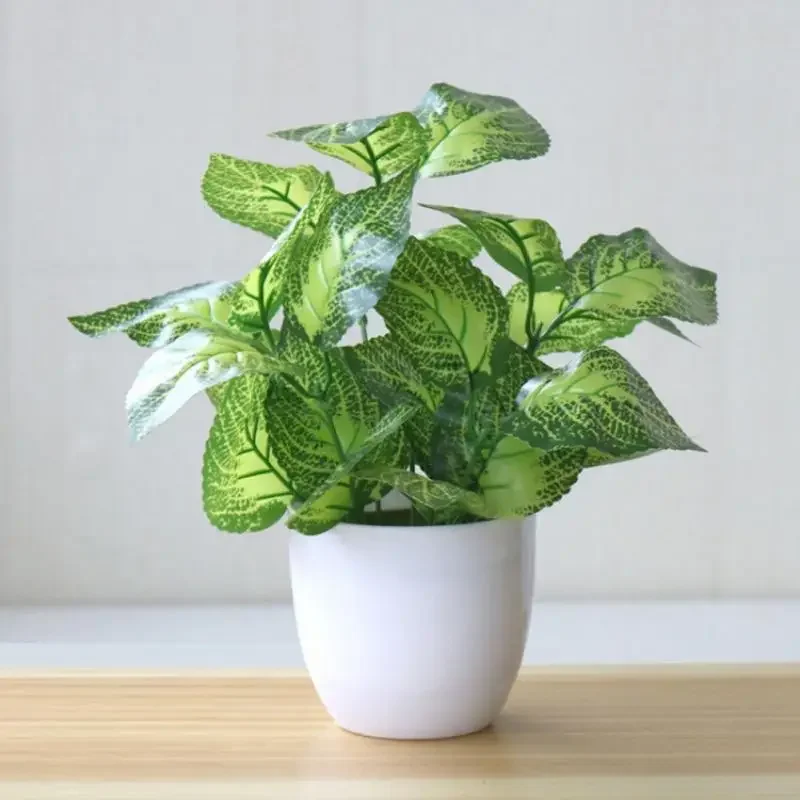 Snake Plant - Sztuczne rośliny, bonsai, dekoracyjne rośliny do