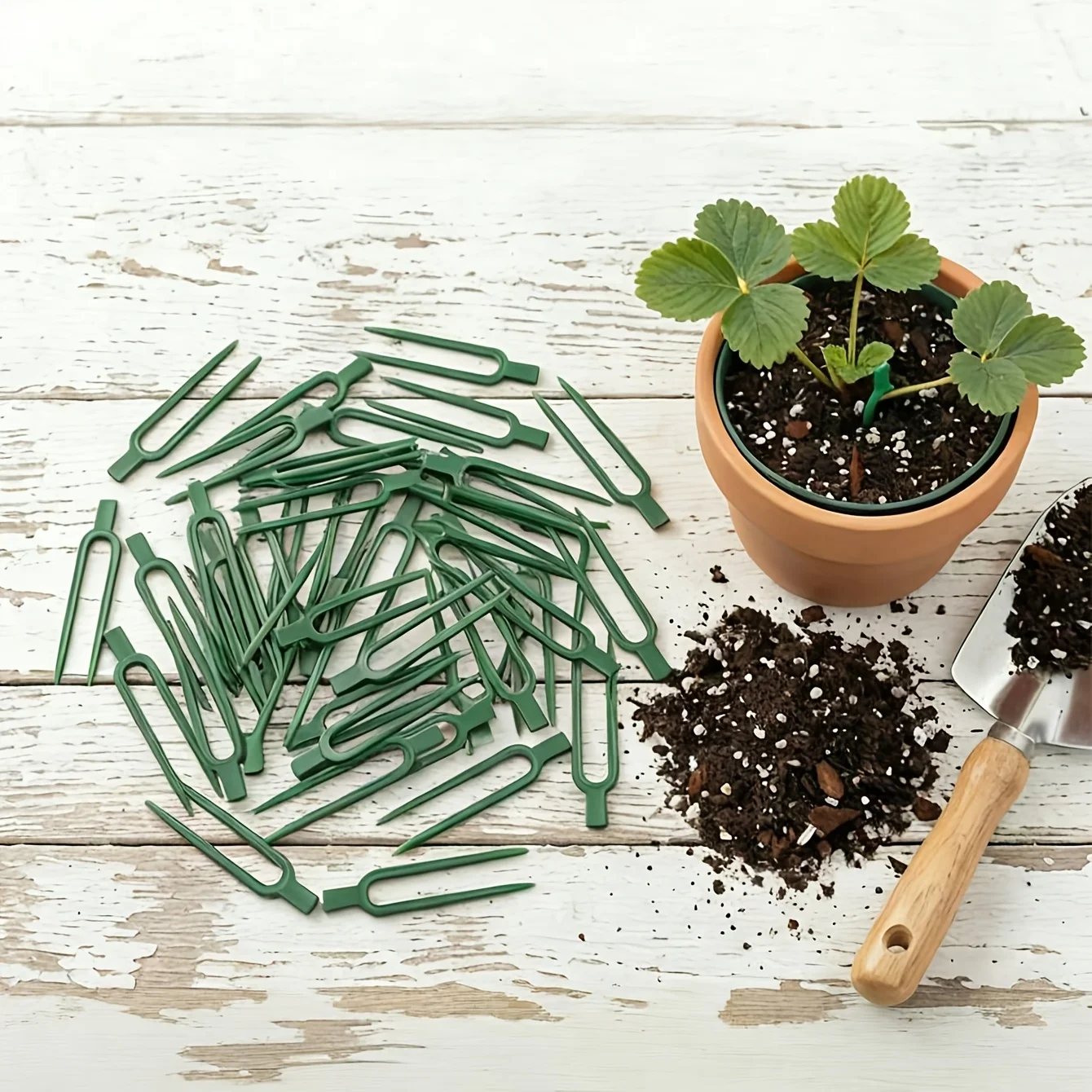 Plant Support Stake - 50 sztuk – plastikowe widełki do