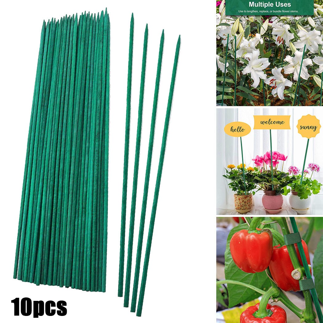 10 sztuk 40cm zielona roślina  – Plant Support Stake recenzja i cena
