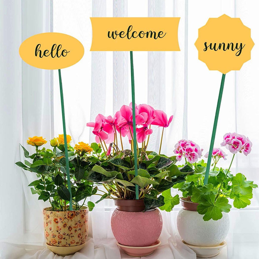 10 sztuk 40cm zielona roślina  – Plant Support Stake recenzja i cena