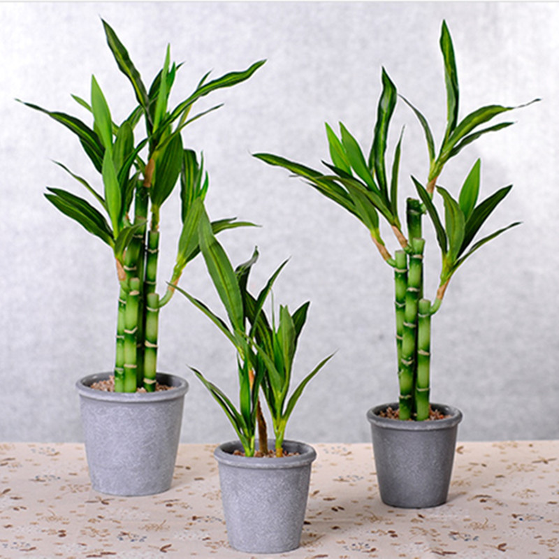 Nowa 40cm sztuczna roślina Luc – Succulent Set recenzja i cena