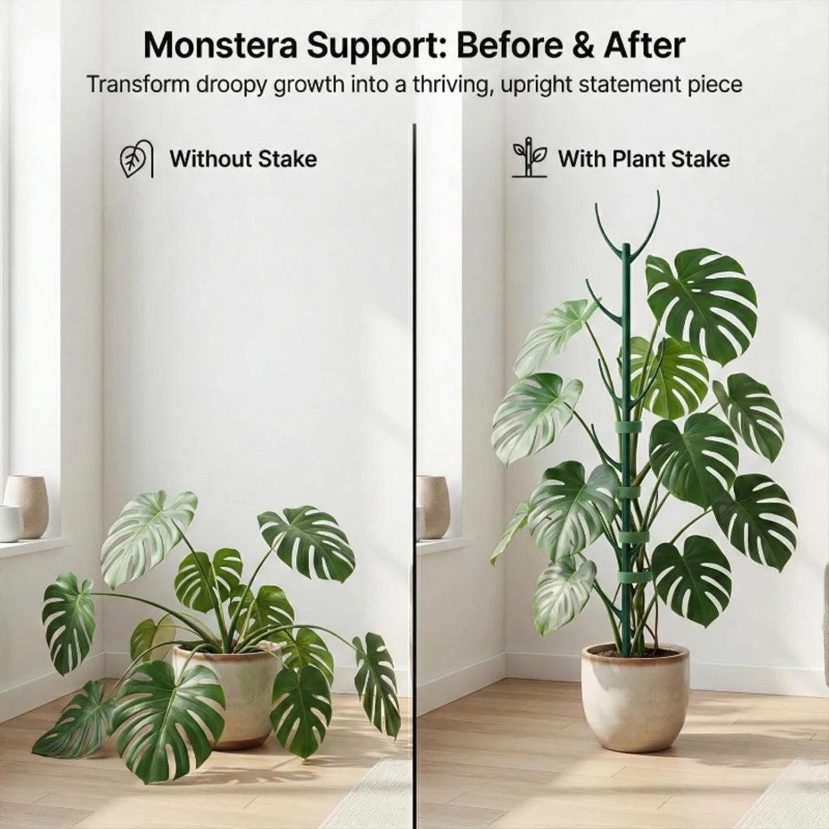 Zestaw 6 sztuk podpórek do roś – Plant Support Stake recenzja i cena