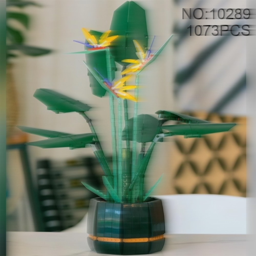 Piękny zestaw do aranżacji buk – The Plant Parent recenzja i cena