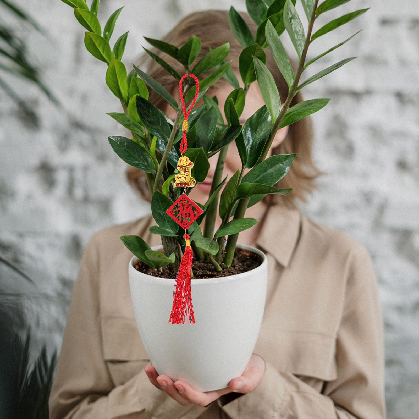 5 sztuk drewnianych zawieszek  – Snake Plant recenzja i cena