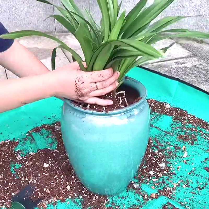 1 szt. Mata do sadzenia 50cm-1 – Repotting Mat recenzja i cena