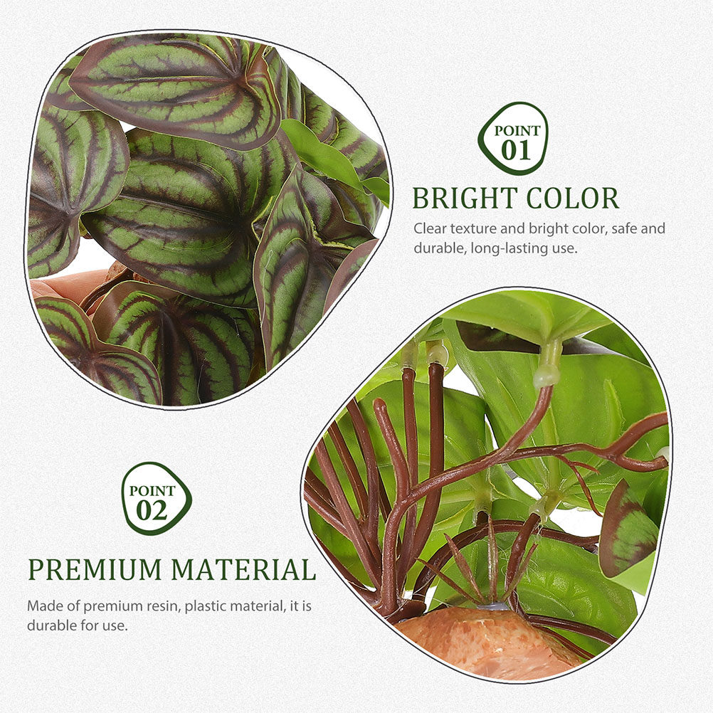 Wysokiej jakości sztuczne rośl – Snake Plant recenzja i cena