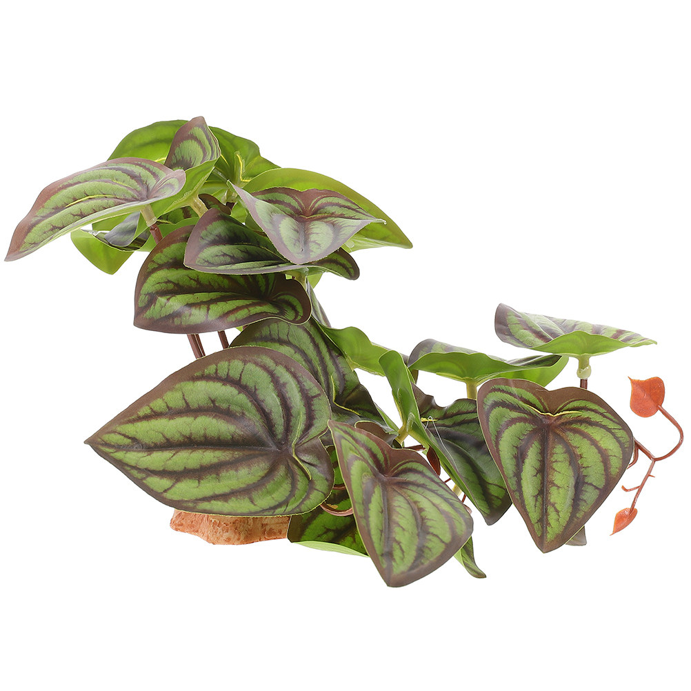 Wysokiej jakości sztuczne rośl – Snake Plant recenzja i cena