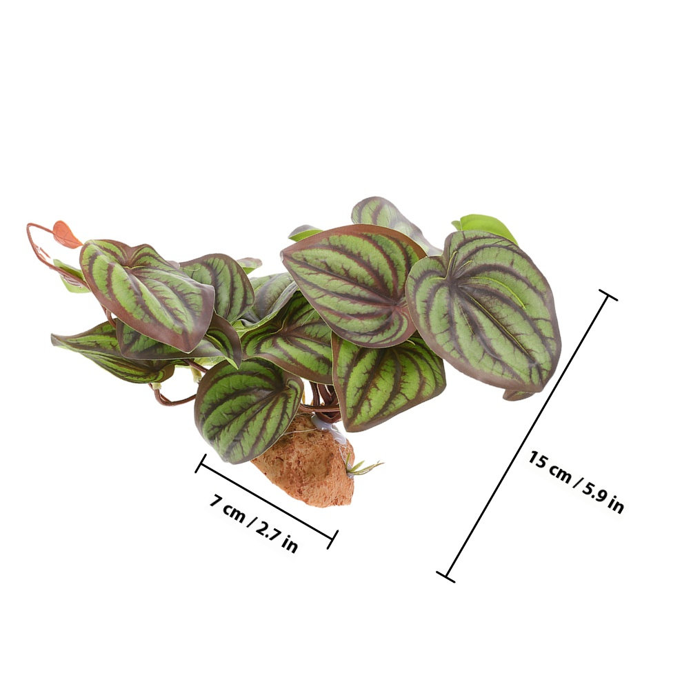 Wysokiej jakości sztuczne rośl – Snake Plant recenzja i cena