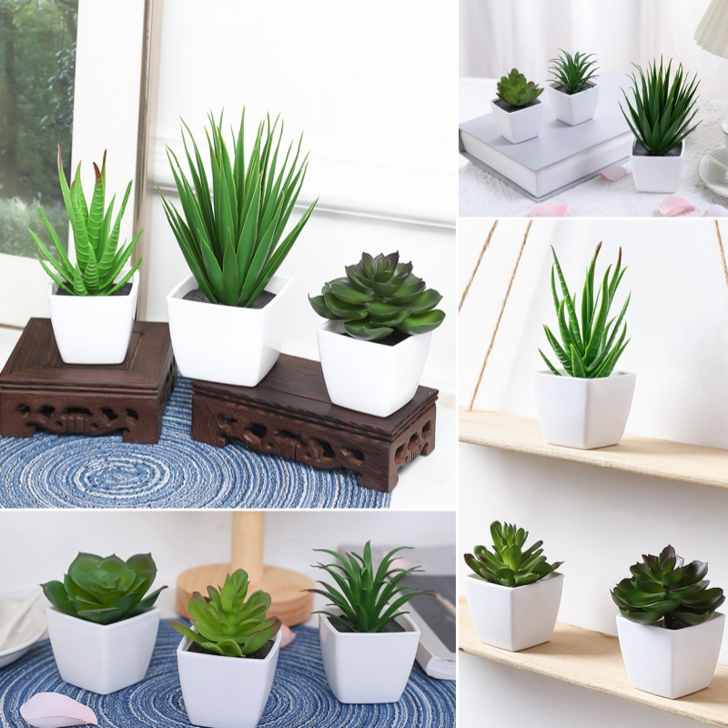 (Zestaw 3 szt.) Symulowane min – Succulent Set recenzja i cena