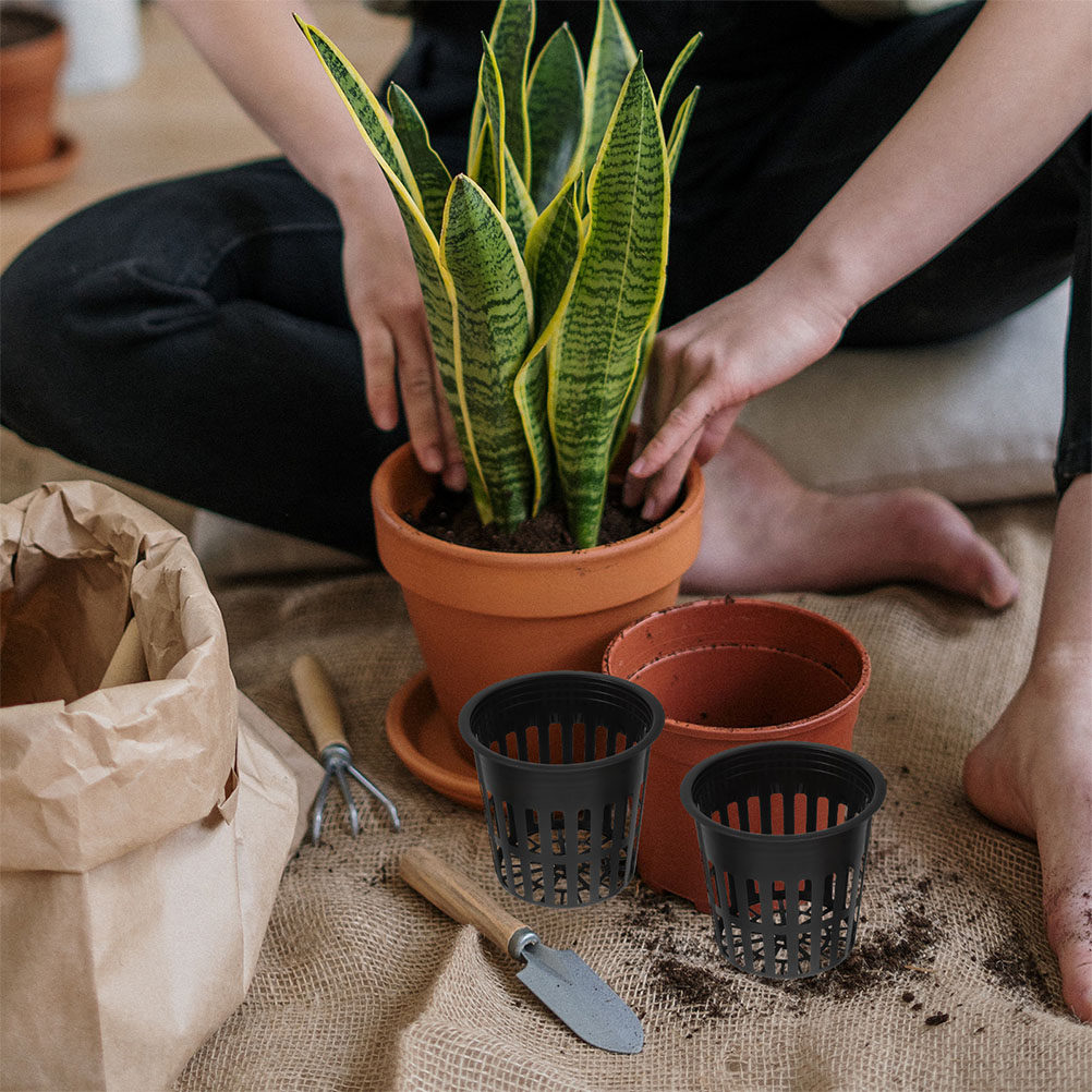 15 sztuk – koszyki do uprawy r – Indoor Plants recenzja i cena