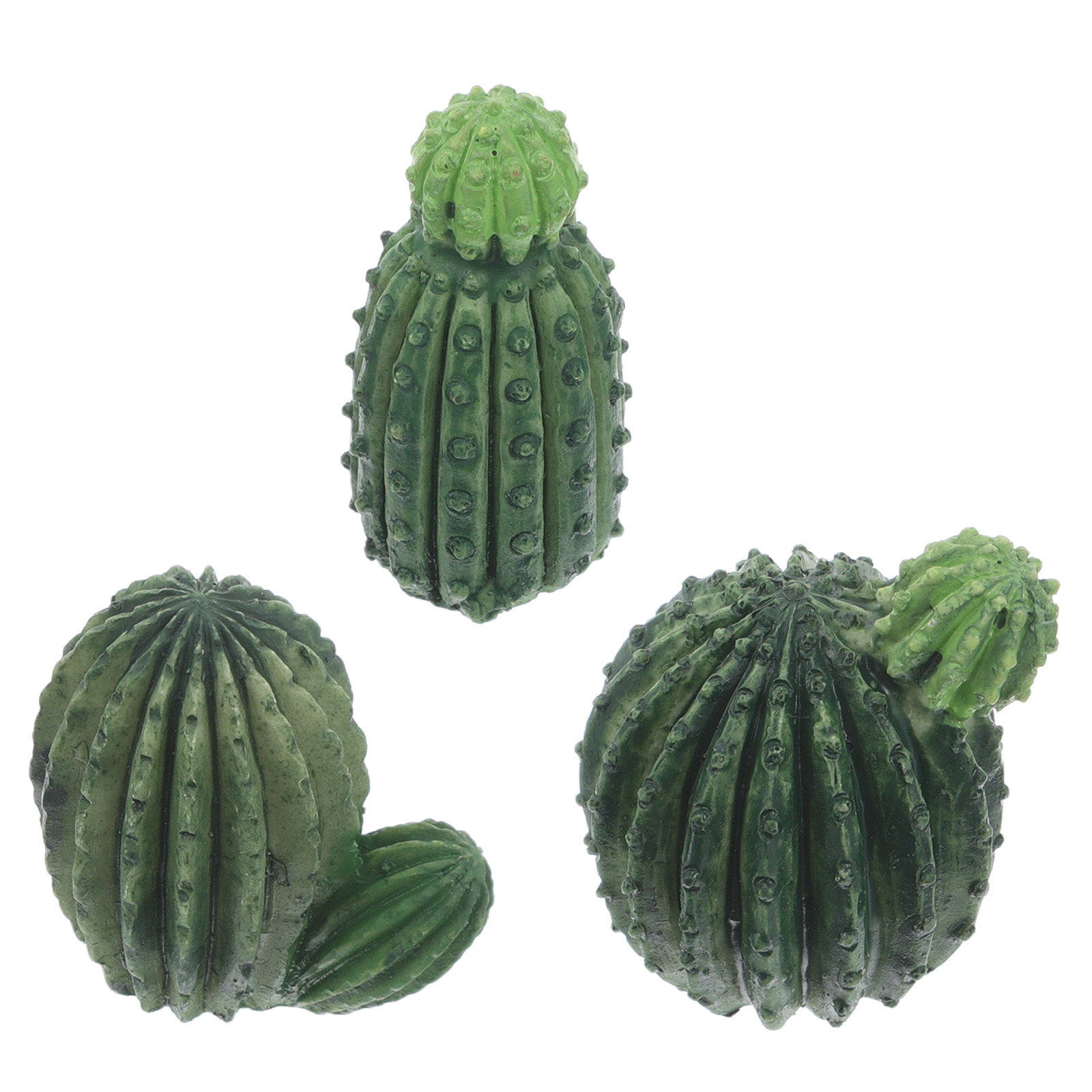 Zestaw miniaturowych roślin –  – Succulent Set recenzja i cena