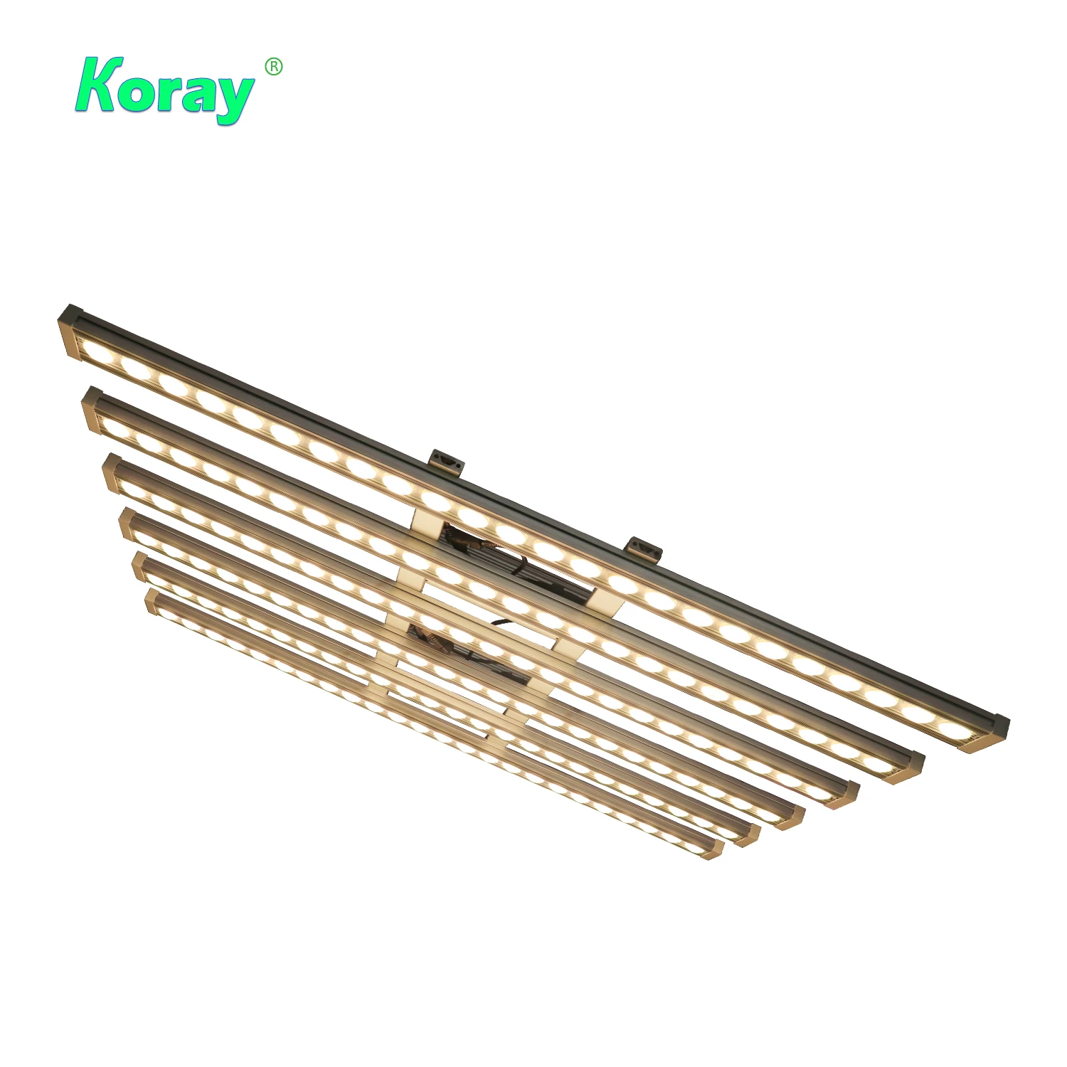 Koray 900W Wewnętrzna lampa do – Indoor Plants recenzja i cena