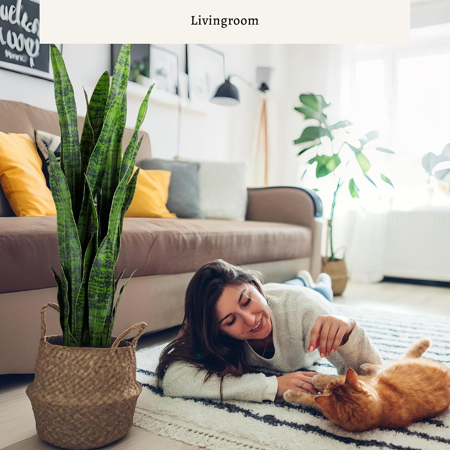 Sztuczna roślina sansewieria,  – Snake Plant recenzja i cena