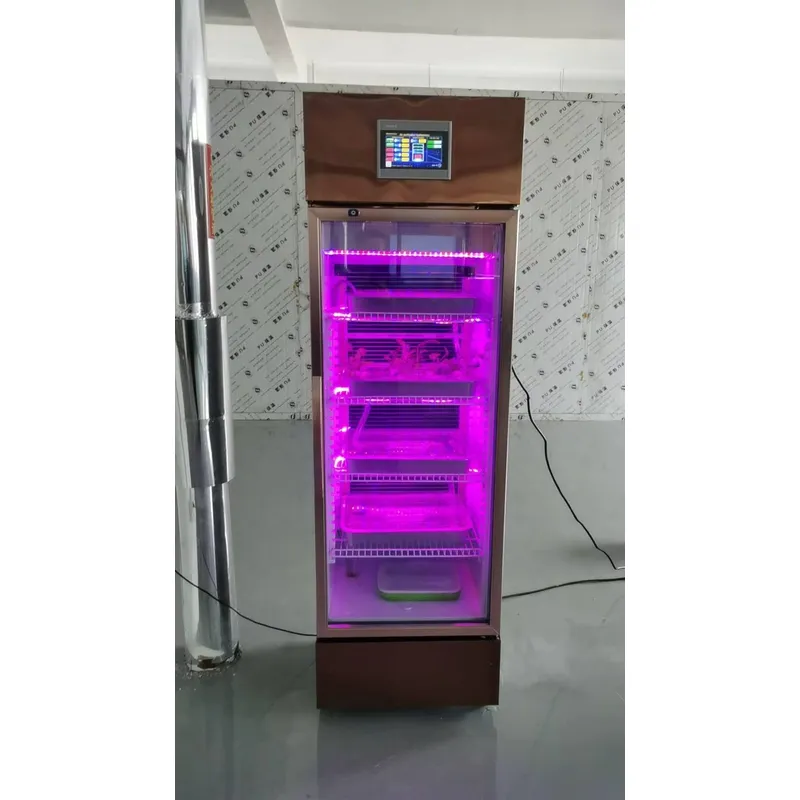 Szafa do uprawy roślin w syste – Indoor Plants recenzja i cena