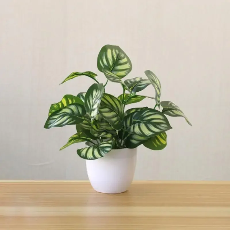 Sztuczne rośliny, bonsai, deko – Snake Plant recenzja i cena
