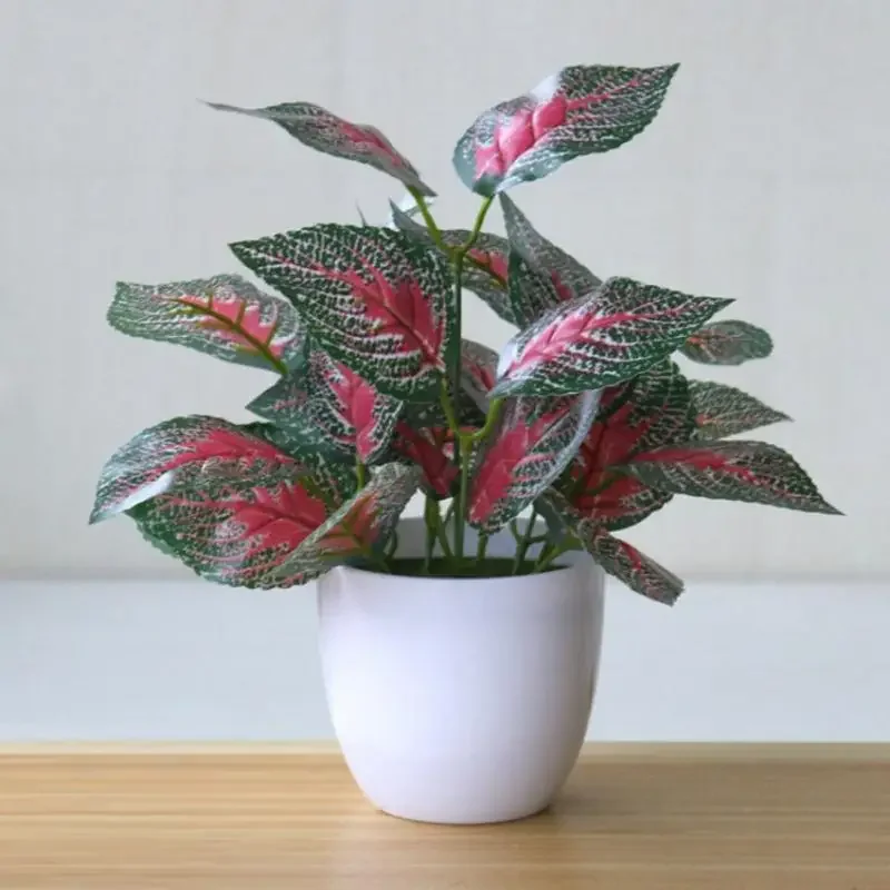 Sztuczne rośliny, bonsai, deko – Snake Plant recenzja i cena